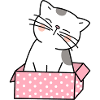 Cat Cardboard Cute