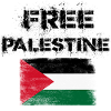 free palestine palestine