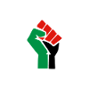 free palestine palestine fist fist