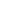 Panzerfahrer Deutsche Raubkatzen Panzer