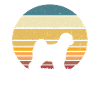 Tibetan Terrier