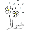 Flower meadow,summer,gift,laugh,cool,trend