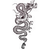 china chinese dragon tattoo2