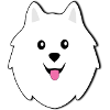Samoyed