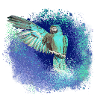 perfich ara,oiseau,graffiti,mint,bleu,brush,spray