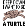 Turtle turtle
