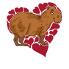 Capybara Love