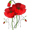 Fleurs