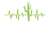 Saguara cactus cacti lovers