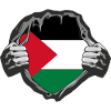 Free Palestine Palestinian Palestine T-Shirt