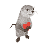 Otter with heart