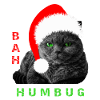 Bah Humbug Christmas Cat