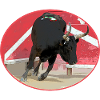Oval Camargue bull