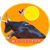 Camargue bull jumps the barrier