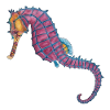 Hippocampe