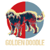Golden Doodle