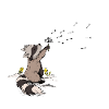 Raccoon puste flower freedom wishes come true
