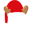 Noël Nicolas casquette