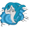 Shark / Hai