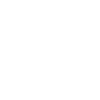 Kutscher Fuhrmann Pferdekutsche