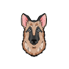German Shepherd