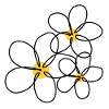 fleur
