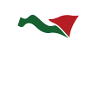 palestine flag
