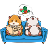 Meerschweinchen Sofa Lesen Träumen Futter