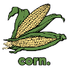 Corn | vegetable