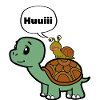 Funny snail on turtle