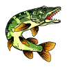 pike