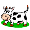 cow