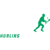 Die Evolution von Hurling