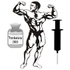bodybuilder