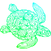 Schildkröte