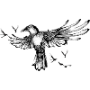 Raven Freedom Bird