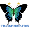 Transformation, Beautiful Butterfly, Motivation
