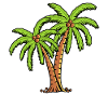 Palm trees