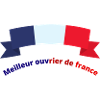 meilleur ouvrier de France