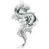 Drakar fantasy dragons spirit reptiler odjur