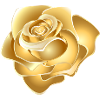 Golden Rose