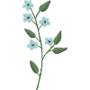 Flower light blue