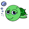 turtle - turtle