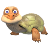 Sweet turtle
