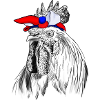 Rooster With France Flag Bandage