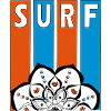Le surf