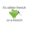 Duolingo Motivation French