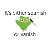 Duolingo Motivation Spanish