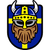 Cool Viking with Swedish flag