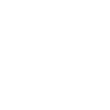 Brudi